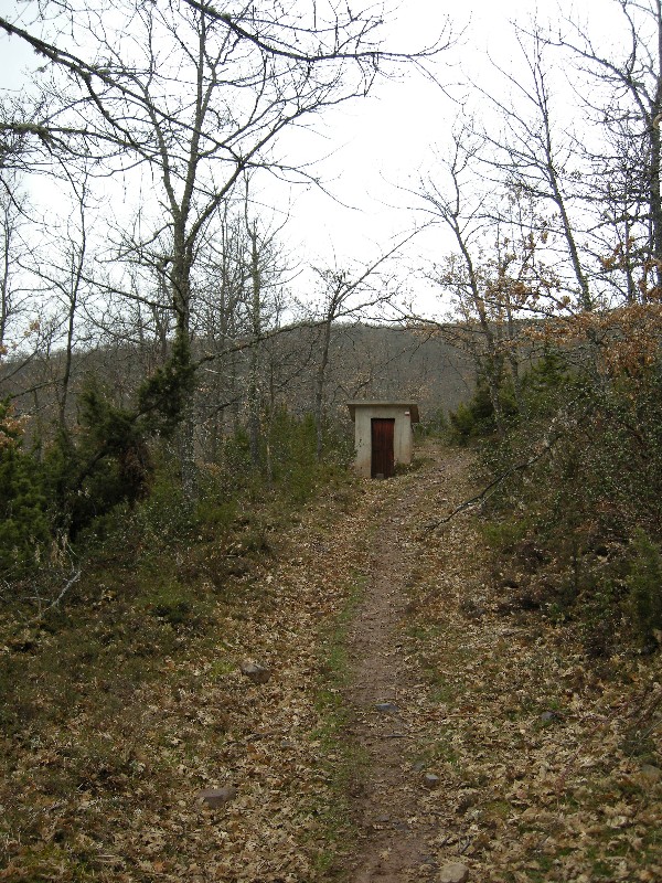 rioja2010 871
